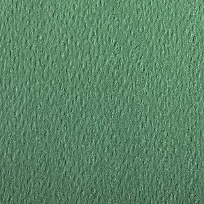 Image of Clairefontaine Ref 93878C Etival Coloured Grained Drawing Paper (Pack of 25 Sheets) A4 (29.7 x 21cm) 160gsm Cellulose Art Deep Green Acid Free, pH Neutral