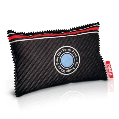 Image of Pingi Dehumidifier Car And Home LV A300 Absorbs Moisture Condensation Damp Keeping Windscreens Clear One Reusable 299 g Bag