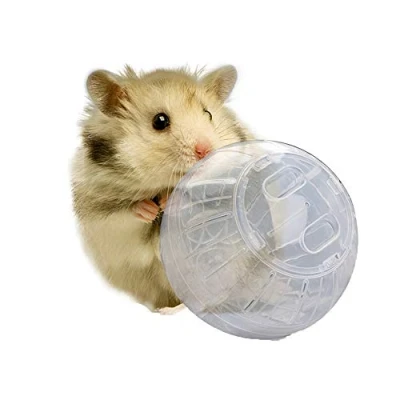 Image of Fliyeong Premium Quality Pet Play Exercise Rodent Jogging Mice Hamster Gerbil Rat Small Ball Plastic Toy