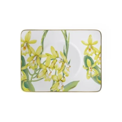 Image of Villeroy &amp; Boch 1035141280 Amazonia Saucer Tea Cup