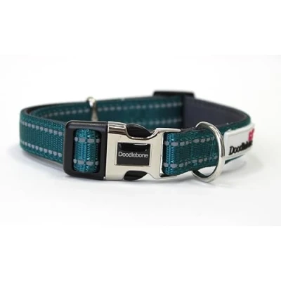 Image of Doodlebone Padded Collar, Teal, 1 2