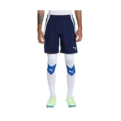 Image of PUMA teamLIGA Training Shorts