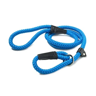 Image of Walk &#039;r&#039; Cise Nylon Rope Slip Lead, Blue