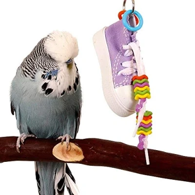 Image of Beaker Sneaker Parrot Toy