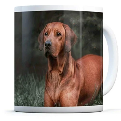 Image of Rhodesian Ridgeback Dog Drinks Mug Cup Kitchen Birthday Office Fun #16679