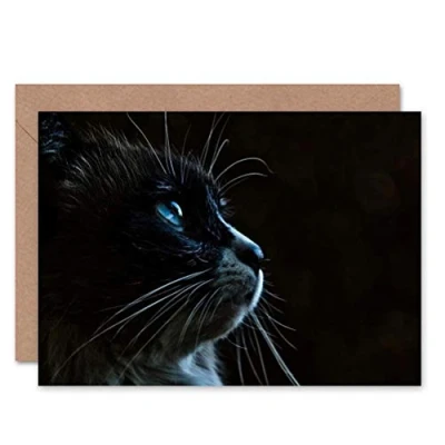 Image of Wee Blue Coo CARD GREETING CUTE CAT FACE HEAD WHISKERS GIFT