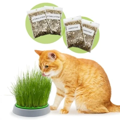 Image of R&amp;R SHOP Double seeds Catnip Kit Germinating Pot, 2 types of catnip, stimulant and digestive, 4 sachets substrate, suitable for all cats