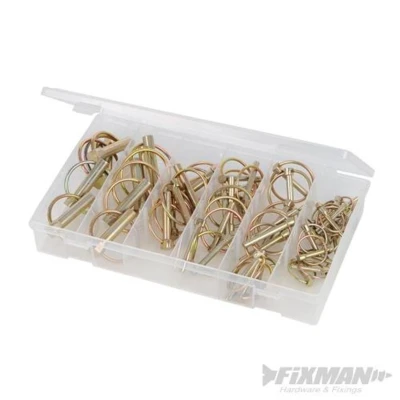 Image of Fixman Lynch Pins Pack 50pce