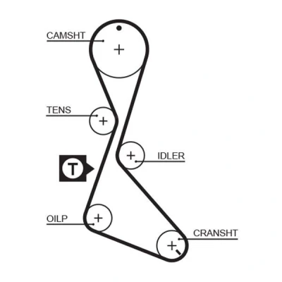 Image of PMTB129 Timing Belt GATES FleetRunner Micro V Stretch Fit 5130XS 125 1191mm 19mm RENAULT: 21 Saloon, Trafic I Van