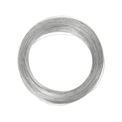 Image of 0.2mm 304 Stainless Steel Wire 32Ft for DIY Manual Arts and Crafts Bailing Sculpting Artistic Jewelry Making Twine Bonsai Training Garden