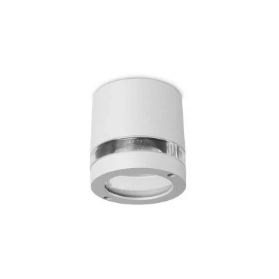 Image of Forlight Lighting Selene Bathroom Flush Ceiling Surface Mounted Light Grey IP54