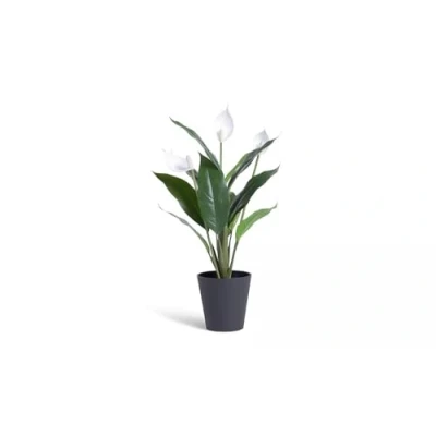 Image of SHABJY Large Artificial Faux Peace Lily Plant Enjoy The Beauty Of A Lilly In Full Bloom White