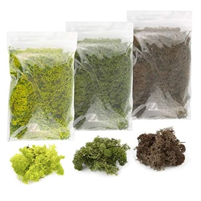 Image of War World Scenics Lichen Moss Model Foliage Multi Pack 3 x 60g (Light Green, Dark Brown) Railway Modelling Wargame Basing Scenery Landscape Trees Bushes Hedges Diorama