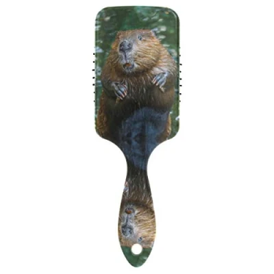Image of Linomo Hair Brush Cute Animal Beaver Air Cushion Massage Comb for Women Kids, Nylon Wet Dry Curly