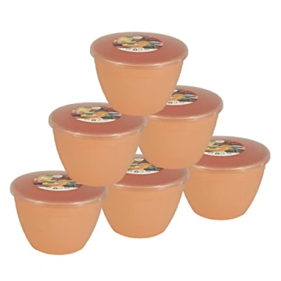 Image of Just Pudding Basins Pastel Colours Peach 1 Pint Basin and Clear Lid Pack of 6 Plastic Steaming Bowls
