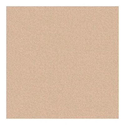 Image of Boutique Tranquil Rose Gold Plain MatteTextured Paste The Wall Wallpaper