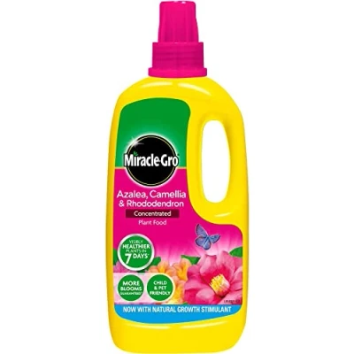 Image of 2 X Miracle Gro Azalea, Camellia and Rhododendron Liquid Plant Food Bottle, 1 L