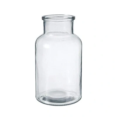 Image of OASIS Modern Clear Glass Wide Flower Jar Twig Stem Bouquet Display Vase (14 x 26cm)