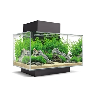 Image of Fluval Edge 2.0 23L Aquarium Gloss Black
