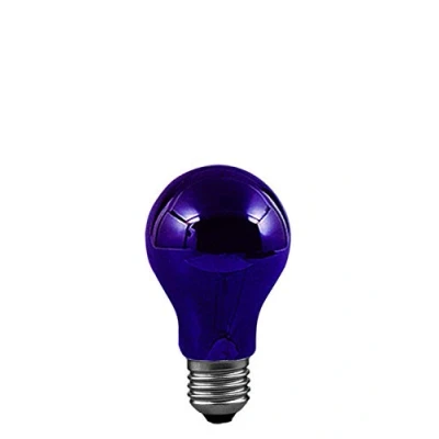 Image of Paulmann 590.70 Agl 75W E27 59070 Glass Black Light Universal Bulb