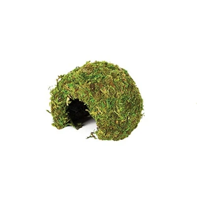 Image of Komodo Small Natural Moss Cave for Reptiles S