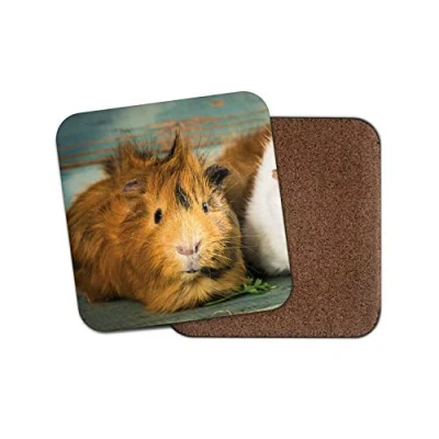 Image of 1 x Funny Brown Guinea Pig Drinks Coaster Rodent Piggy Kids Animal Fun #8477