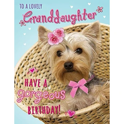 Image of Piccadilly Greetings Cute Birthday Card Granddaughter 8 x 6 inches