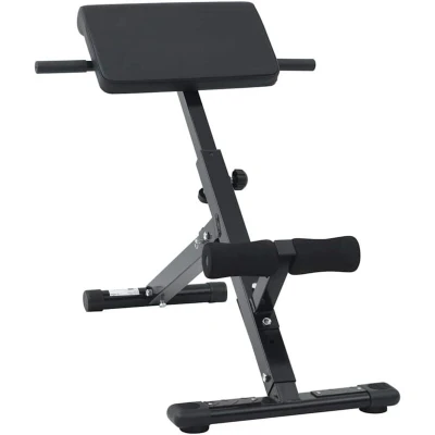 Image of vidaXL Hyperextension Bench 120 kg Foldable and Adjustable Steel