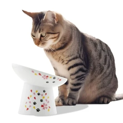 Image of Necoichi Extra Wide Raised Cat Food Bowl, Elevated, Prevent Neck &amp; Whisker Fatigue, Dishwasher and Microwave Safe, No.1 Seller in Japan! (Sakura Limited Edition, Tilted)