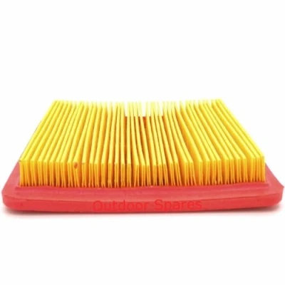 Image of Genuine Mountfield Air Filter for RM45(140cc) /RM55 /RM65 Engines, 118550257/0