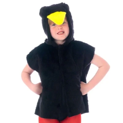Image of Charlie Crow Blackbird costume for kids one size 3 8 Years.