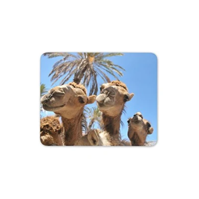 Image of Funny Camels Mouse Mat Pad Animal Cute Fun Camel Egypt PC Computer #8543
