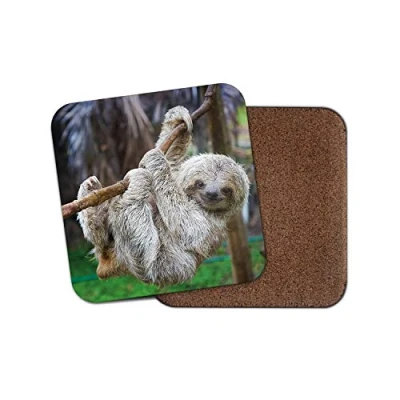 Image of 1 x Cute Baby Sloth Coaster Lazy Funny Dad Brother Son Uncle Fun #13048
