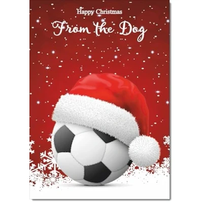 Image of doodlecards From The Dog Christmas Card Santa Hat Football with Red Sky Medium Size for Plain Envelope