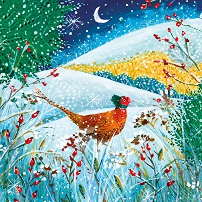 Image of Museums &amp; Galleries Charity Christmas Cards Moonlight Pheasant Winter Scene Eco Friendly and Recyclable Pack of 8