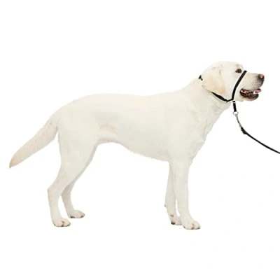 Image of PetSafe Easy Walk Headcollar
