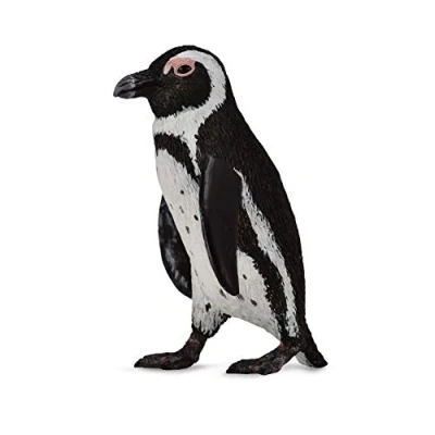 Image of CollectA South African Penguin