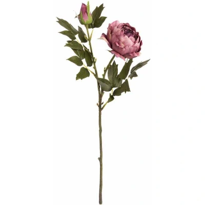 Image of The Recipe Dusty Pink Spray Rose Peony