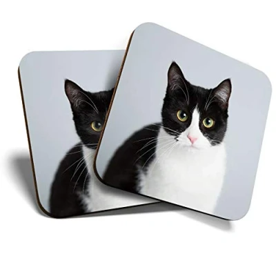 Image of Great Coasters (Set of 2) Square/Glossy Quality Coasters/Tabletop Protection for Any Table Type Black &amp; White Cat Kitten Pet #15634