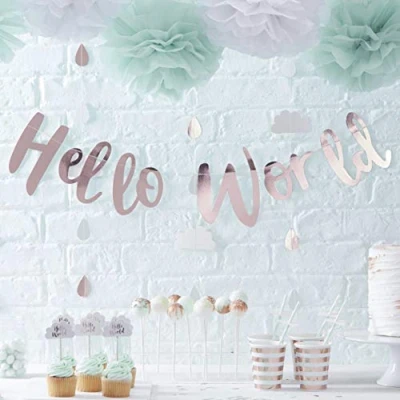 Image of Ginger Ray Rose Gold Hello World Scripted Baby Shower Unisex Bunting Banner