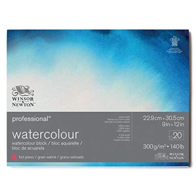Image of Winsor &amp; Newton 6664006 Professional Watercolour Paper in Pad, 20 Sheets 22.9 x 30.5 cm, 300 g/m², Satined, Bright Natural White Archival Quality, Resistant to Yellowing