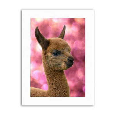 Image of Wee Blue Coo Animal Alpaca Llama Baby Cute Poster Canvas Art Prints