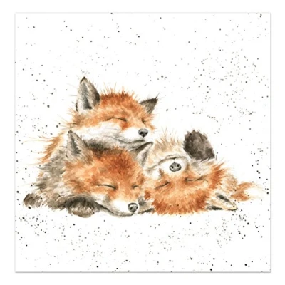Image of Wrendale Designs &#039;The Afternoon Nap&#039; Card