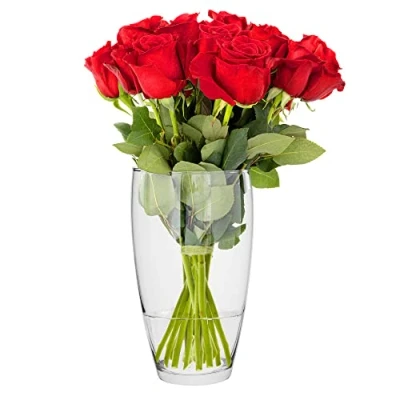 Image of TREND for HOME Glass Vase 25 cm Rose Bullet Flower Transparent Vases Flowers Decorations Living Room Floral Dining Table ⌀ 13.7 2834 ml Leilani