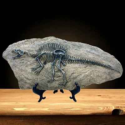 Image of XINDAM Resin Spinosaurus Dinosaur Fossil Statue Model Simulated Skeleton Home Office Display Decorative Craft Box Decoration (Style 8)