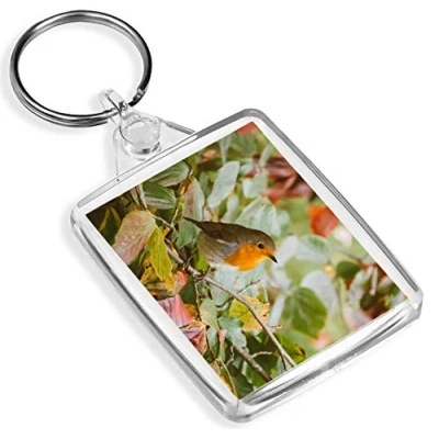 Image of Cute Red Robin Keyring IP02 Winter Autumn Christmas Bird #14318