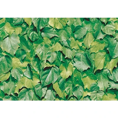 Image of Furniture Adhesive Protective Film, Leaves, 45 cm x 2 mt