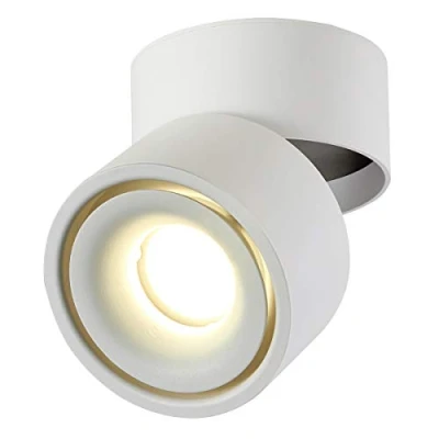 Image of Dr.lazy Indoor 10W LED Spotlight 360Adjustable Ceiling Spots Downlight/Surface Mounted COB Lighting LED/10X10CM/Aluminum Wall Lamp or Spot Light (White 4000K)