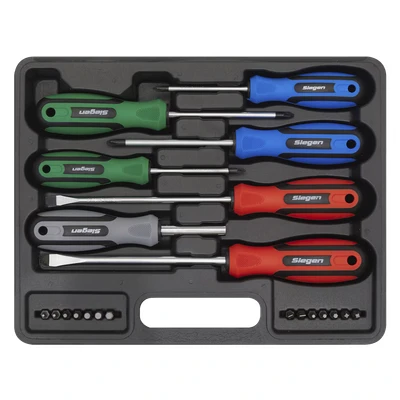 Image of Sealey S0923 Screwdriver Set with Carry Case, 21 Pieces