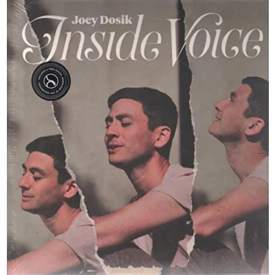 Image of Joey Dosik Inside Voice Sealed 2018 USA vinyl LP SC364
